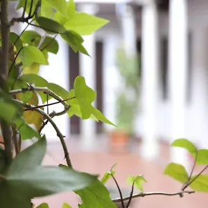 Appartement Adanar-las Columnas Spanje